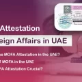 mofa-attestation-service-in-dubai