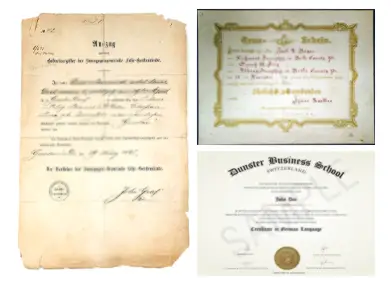 german-document-translation-services-in-Dubai-wadialhuroof-translation-services