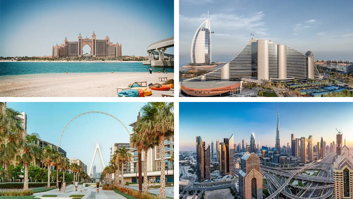 website-translation-services-in-Dubai-wadialhuroof-translation-services