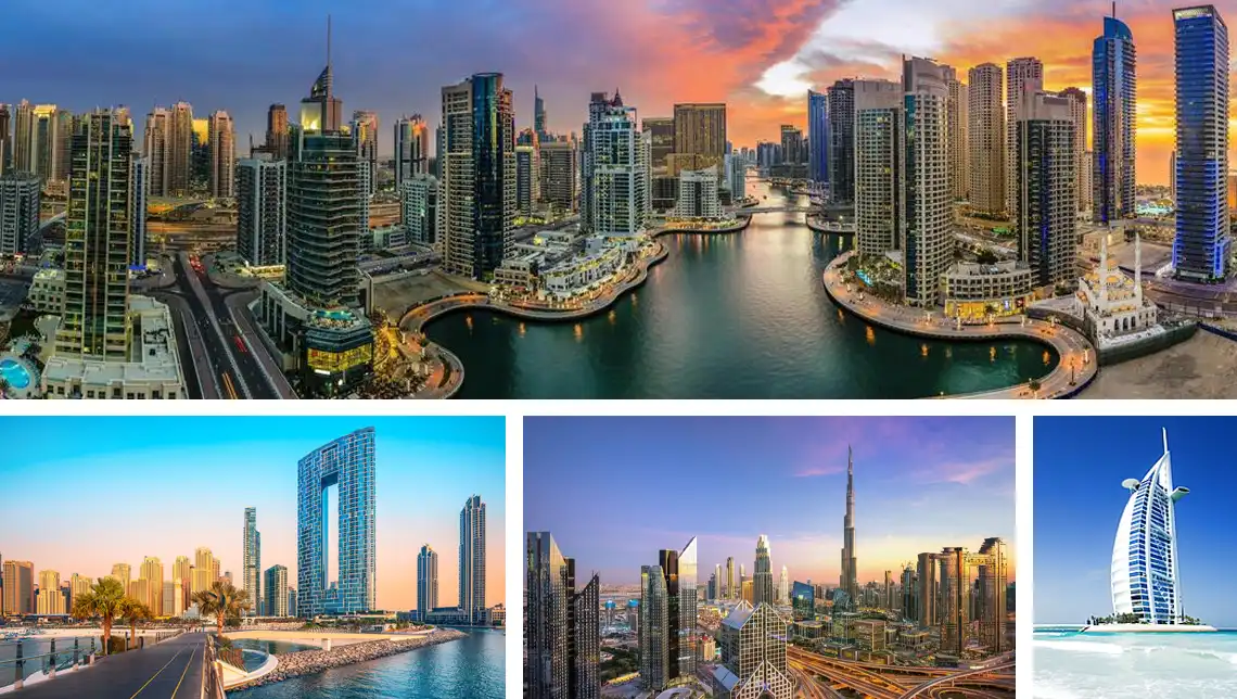 company-document-translation-services-in-dubai-wadialhuroof-translation-company