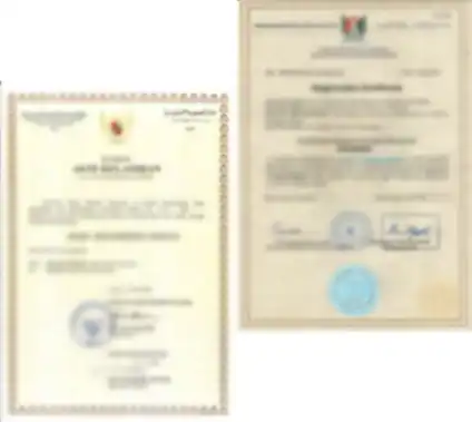 somali-translation-services-in-dubai-wadi-alhuroof-translation-company