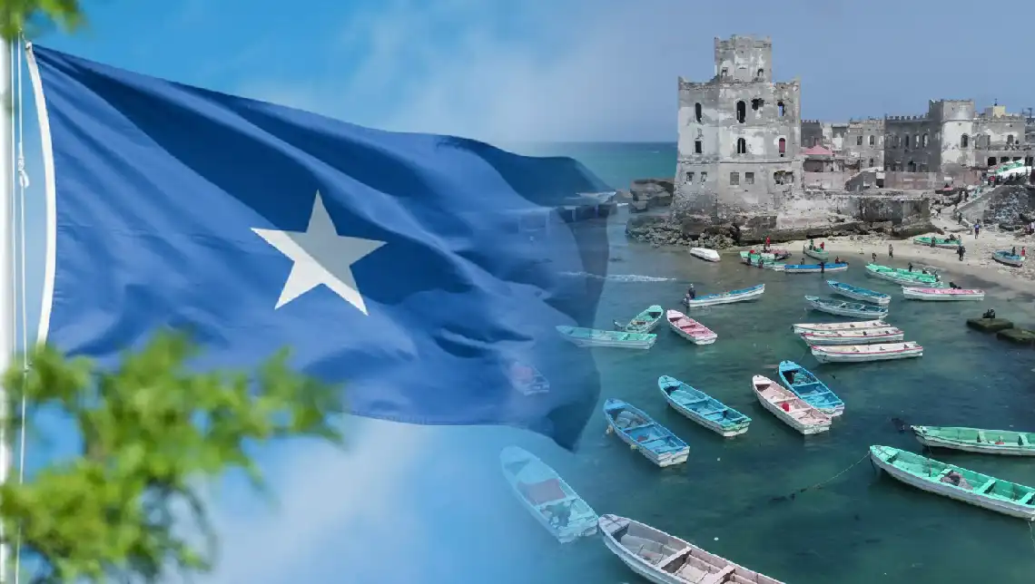 somali-translation-services-in-dubai-wadi-alhuroof-translation-office