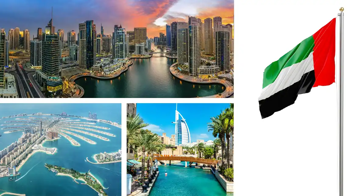 translate-arabic-to-english-wadialhuroof-translation-ageny-in-dubai translate-arabic-to-english-wadialhuroof-translation-ageny-in-dubai