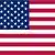 USA Flag